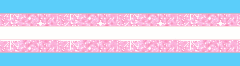 trans pride